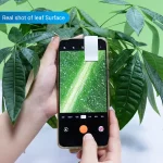 Fotografia di una foglia verde scattata con uno smartphone, evidenziando la superficie fogliare.