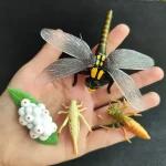 Modelli scientifici di insetti e creature, tra cui libellula, larva, bruchi e altri insetti, ideali per decorazioni e studi educativi.