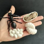 Modellino scientifico di un ragno nero con uova e uovo di insetto, perfetto come decorazione educativa o oggetto da collezione scientifica.