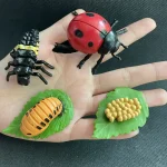 Set di decorazioni in resina a forma di insetti e foglie, tra cui coccinella, formica, larva e foglia con semi, ideali per decorazioni e oggetti scientifici.