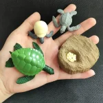 Modelli di animali marini e fossile in plastica per scopi educativi e decorativi, inclusi tartaruga, granchio, uccello e fossile, ideali per insegnanti e appassionati di scienze.