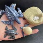 Modellini di animali marini e oggetti scientifici in resina, tra cui un polpo, una tartaruga, una rana e un uovo, ideali come decorazioni scientifiche o da collezione.
