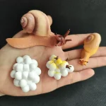 Modellini di molecole chimiche e una lumaca in plastica, rappresentazioni scientifiche e naturali, ideali per decorazioni educative e oggetti da collezione.