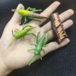 Modelli di insetti e insetti finti in plastica, perfetti per decorazioni scientifiche e educative.