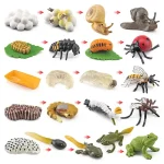 Modelli di insetti e piante per scopi educativi e decorativi, rappresentano diverse specie come api, farfalle, lucertole e altri insetti, ideali per esposizioni scientifiche o decorazioni a tema natur.