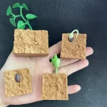 Pianta e semi in terrario didattico, modello educativo con terriccio e contenitori in miniatura, ideale per scopi didattici e decorativi.