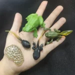 Modelli di anfibi e insetti in plastica colorata, ideali per scopi educativi e decorativi, presentati su una mano umana contro sfondo scuro.