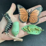 Decorazioni scientifiche in plastica e resina raffiguranti una farfalla, un bruco e una foglia, ideali per arredamento e decorazioni a tema scientifico.
