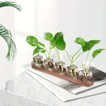 Pianta decorativa in vetro con foglie verdi, ideale per arredamento scientifico e moderno.