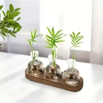 Piante verdi in vasi di vetro con acqua, decorazioni scientifiche per ambienti moderni e naturali.