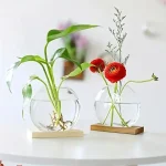 Vasi di vetro con piante e fiori scientifici, ideali come decorazioni eleganti e originali per ambienti moderni e studi scientifici.