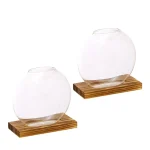 Vasi di vetro trasparente su base di legno, decorativi e ideali per esposizioni scientifiche o decorazioni moderne.
