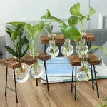 Decorazione scientifica con piante in bottiglie di vetro su supporti di legno e metallo, ideale per ambienti educativi o di design innovativo.