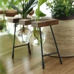 Oggetti scientifici decorativi con piante in vasi di vetro, supporto in legno e metallo, ideali per decorare ambienti con stile scientifico e naturale.