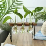 Pianta decorativa con foglie verdi in provette di vetro su supporto in legno e metallo.
