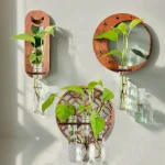 Piante verdi in bottiglie di vetro su decorazioni in legno, stile naturale e moderno.