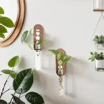Decorazioni scientifiche con piante e oggetti di design.