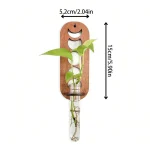 Pianta in provetta con supporto in legno, decorazione scientifica naturale, oggetto decorativo per appassionati di scienza e botanica.