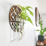 Piante verdi in vasi di vetro appesi a decorazione scientifica in legno, ideale per arredamento moderno e decorazioni a tema scientifico.