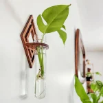 Vaso decorativo con pianta in vetro e supporto in legno, ideale per decorare ambienti con stile scientifico e naturale.