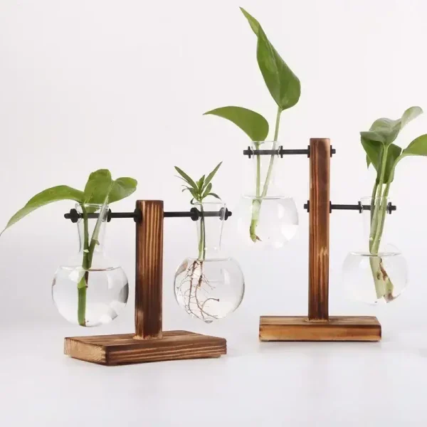 Supporto per piante in vetro e legno, decorazione scientifica.