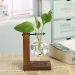 Pianta in vaso con supporto di legno e base di giornale, decorazione scientifica per ambienti moderni e studi di design.