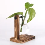 Supporto per piante in legno con vaso di vetro e pianta verde.