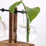 Oggetto decorativo con pianta in provetta di vetro, ideale per appassionati di scienza e design.