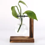 Pianta in provetta con foglie verdi, supporto in legno e metallo, decorazione scientifica elegante e moderna.