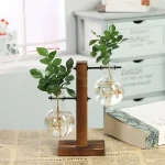 Pianta decorativa in vaso con supporto di legno e vetro, ideale per decorazioni scientifiche e ambienti moderni.