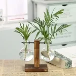 Piante verdi in vasi di vetro con acqua, posizionate su un tavolo con sfondo di un ambiente luminoso e moderno. Decorazioni scientifiche e naturali per ambienti studiati e innovativi.