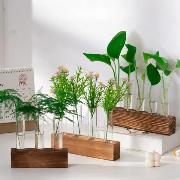 Vasi decorativi con piante verdi in vetro e legno, ideali per decorare ambienti con stile scientifico e naturale. Perfetti come oggetti decorativi e da studio.