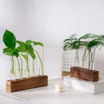 Decorazioni scientifiche con piante in provette di vetro su basi di legno e marmo, perfette per ambienti moderni e studi scientifici.