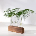 Vaso decorativo con felci in vetro e base di legno naturale, perfetto come oggetto di design e decorazione scientifica per ambienti moderni e minimalisti.