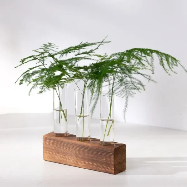 Vaso decorativo con felci in vetro e base di legno naturale, perfetto come oggetto di design e decorazione scientifica per ambienti moderni e minimalisti.