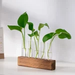 Piante verdi in provette di vetro su supporto di legno, decorazioni scientifiche moderne e eleganti per ambienti di studio o ufficio.