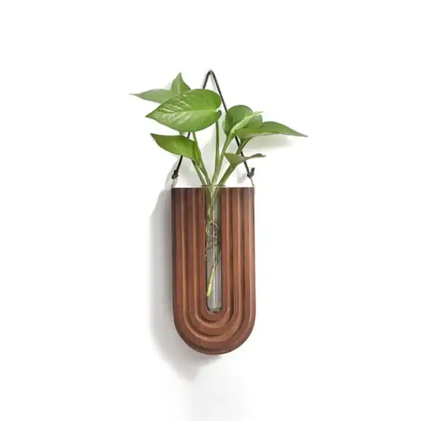 Pianta verde in una piantana decorativa in legno, perfetta come oggetto scientifico e decorativo per ambienti moderni e studi.