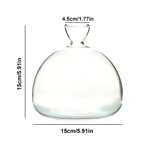 Vaso di vetro trasparente per uso scientifico, con altezza di 15 cm e diametro di 15 cm, ideale per esperimenti e decorazioni a tema scientifico.