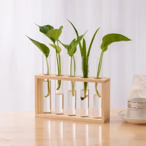 Pianta in provette con supporto in legno, decorazione scientifica moderna e originale, ideale per ambienti di studio o ufficio, aggiunge un tocco di natura e innovazione.
