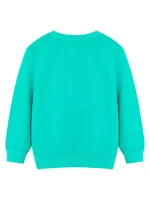 Felpa turchese unisex, comoda e alla moda, perfetta per un look informale o scientifico, ideale per il negozio e la decorazione scientifica.