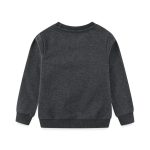 Maglione grigio scuro in tessuto morbido, ideale per look casual e confortevoli, perfetto per tutte le stagioni.