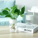 Vaso con pianta acquatica verde in acqua trasparente, decorazione moderna per interni, ideale per soggiorno o ufficio, aggiunge freschezza e stile.