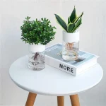 Pianta verde in vaso trasparente con radici visibili, posizionata su un tavolo bianco con un libro intitolato "MORE" accanto. Decorazione moderna e naturale per ambienti interni.