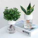 Piante in vetro con radici visibili, decorazioni scientifiche per ambienti moderni, perfette per aggiungere un tocco di natura e innovazione agli spazi interni.