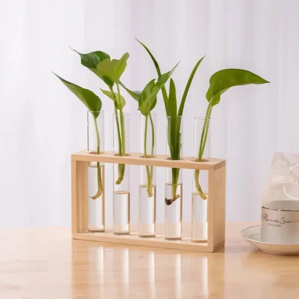 Pianta in provette con foglie verdi in contenitori di vetro su supporto in legno, decorazione scientifica moderna.