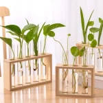 Vasi scientifici in legno con piante verdi, decorazioni ispirate alla scienza, perfetti per arredare con stile e originalità. Ideali come oggetti decorativi e da collezione.