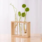 Piante in provette con supporto di legno, decorazione scientifica moderna e minimalista per ambienti di studio o ufficio.