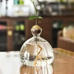 Pianta in vaso con radici visibili immerse in acqua, decorazione scientifica e naturale per ambienti interni.