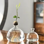 Pianta in bottiglia di vetro con radici visibili, decorazione scientifica originale e naturale, ideale per ambienti moderni e studi scientifici, simbolo di crescita e innovazione.