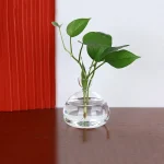 Pianta in vaso di vetro con foglie verdi lucide, decorazione scientifica elegante e minimalista, ideale per ambienti moderni e studi scientifici.
